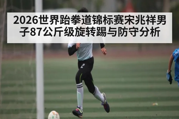 2026世界跆拳道锦标赛宋兆祥男子87公斤级旋转踢与防守分析
