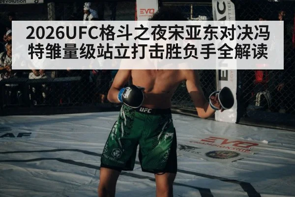 UFC octagon cage fight