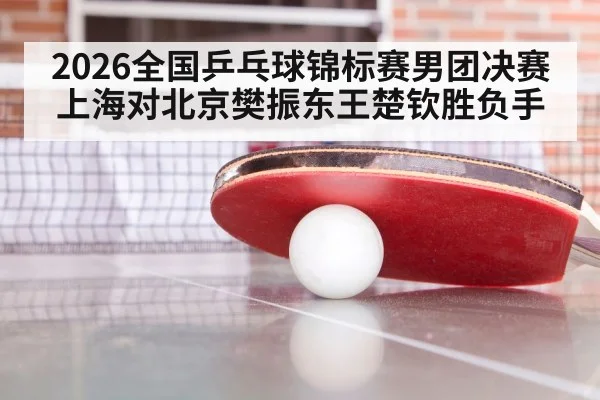 ping pong match close up paddle